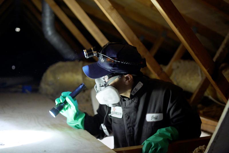 Preventative Termite Treatments